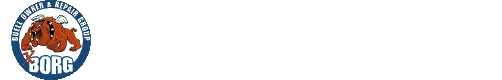 XBORGFORUM Logo